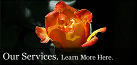 Our Services - Learn More Here.